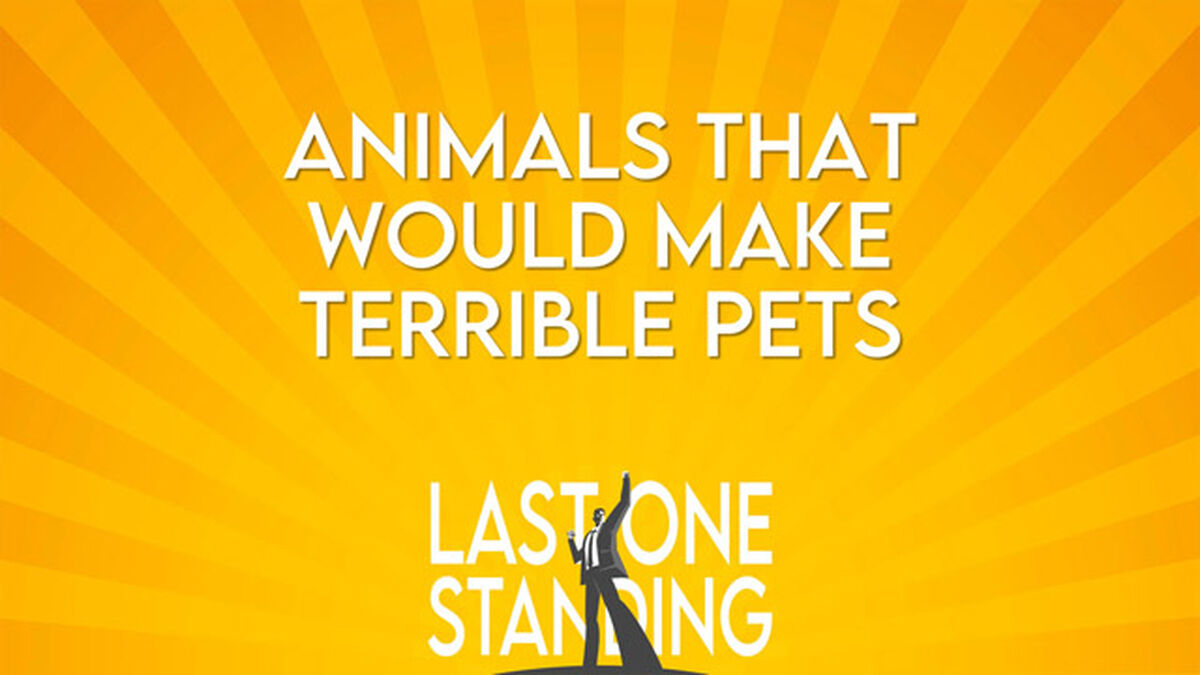 Last One Standing Bundle image number null